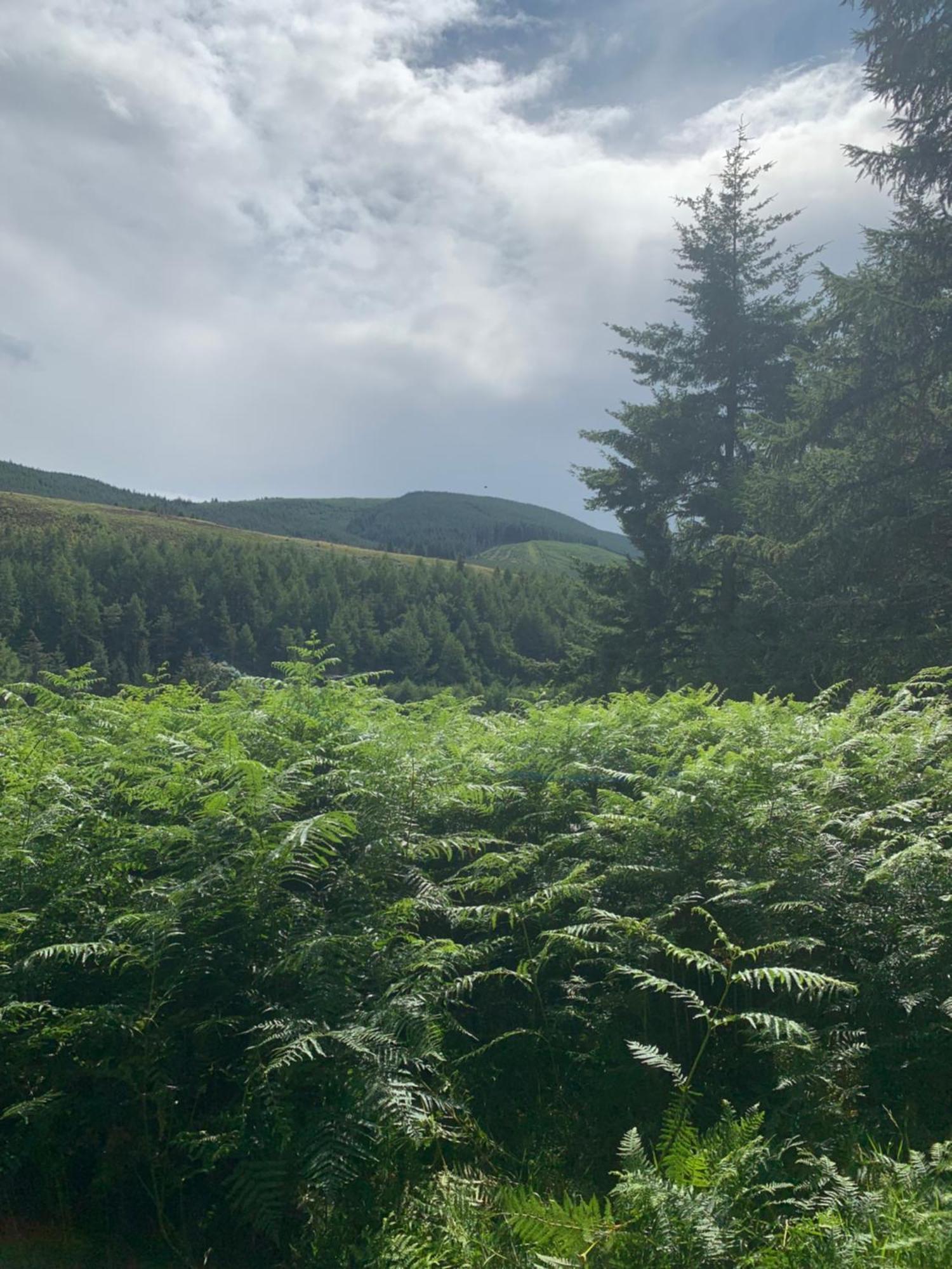 Corrie Lodge, Glendevon Exteriér fotografie